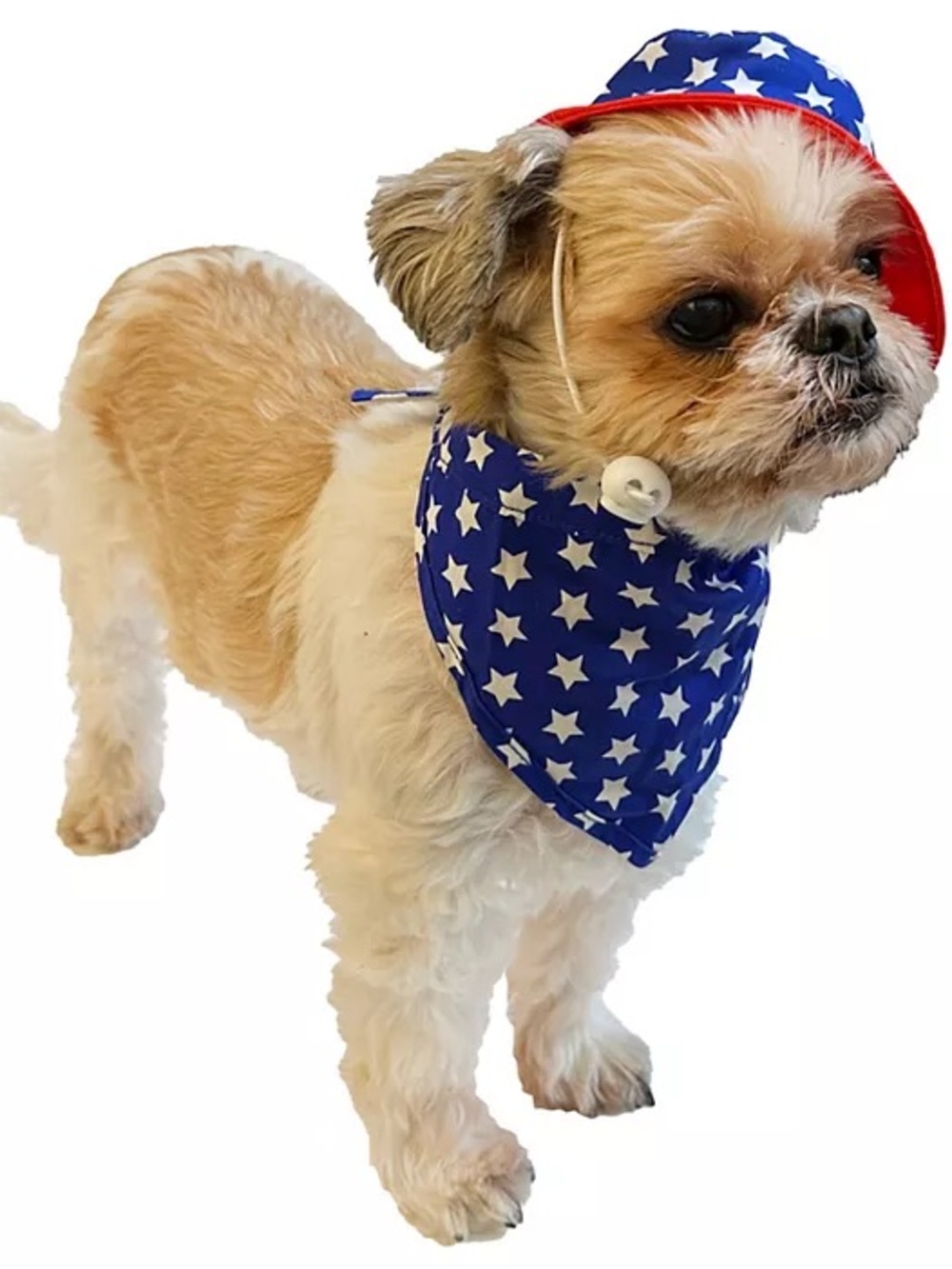 Patriotic Blue Star Dog Bandana and Hat Set*